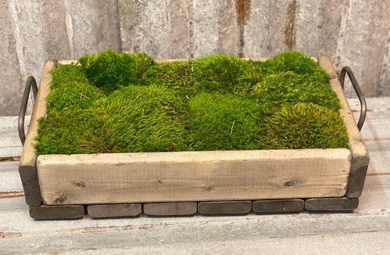 Moss Tray Small